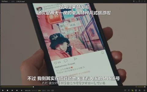 PotPlayer 22503(1.7.22503)  去广告绿色版